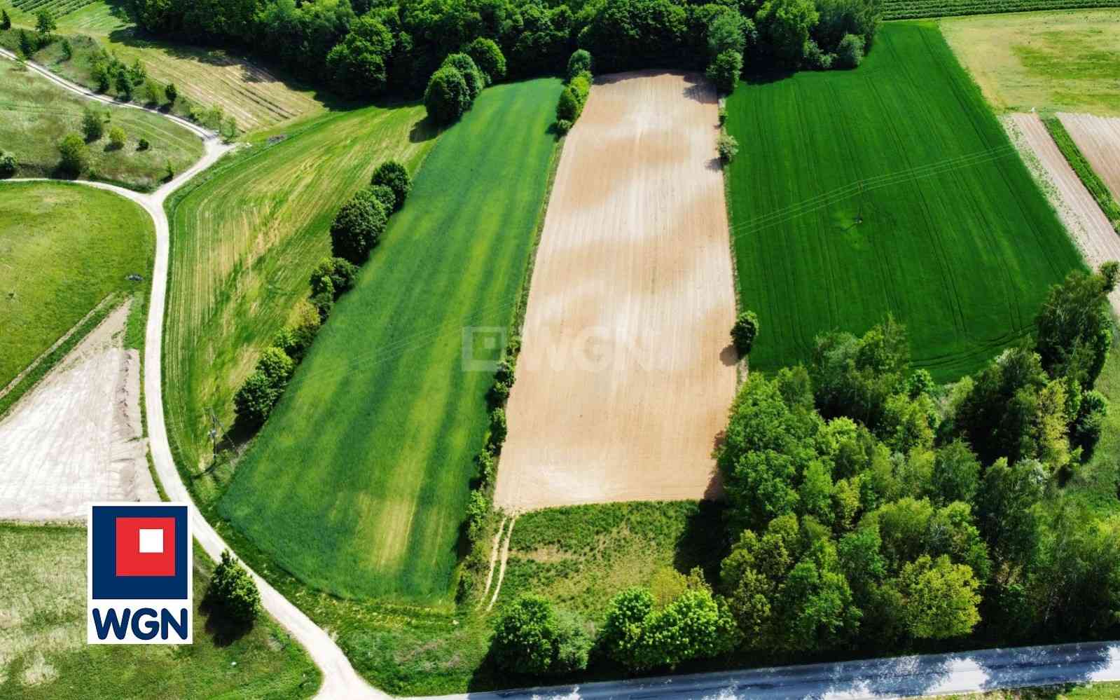 Działka na sprzedaż - Celejów, Celejów - zdjęcie 4