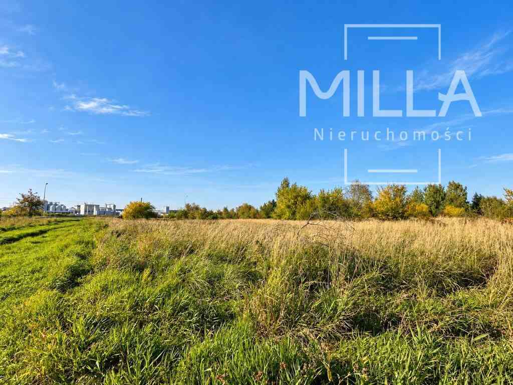 🏢 DZIAŁKA USŁUGOWA 13 997 m² | PIOTRKÓW TRYB. | ok. ul. Przemysłowej - zdjęcie 4