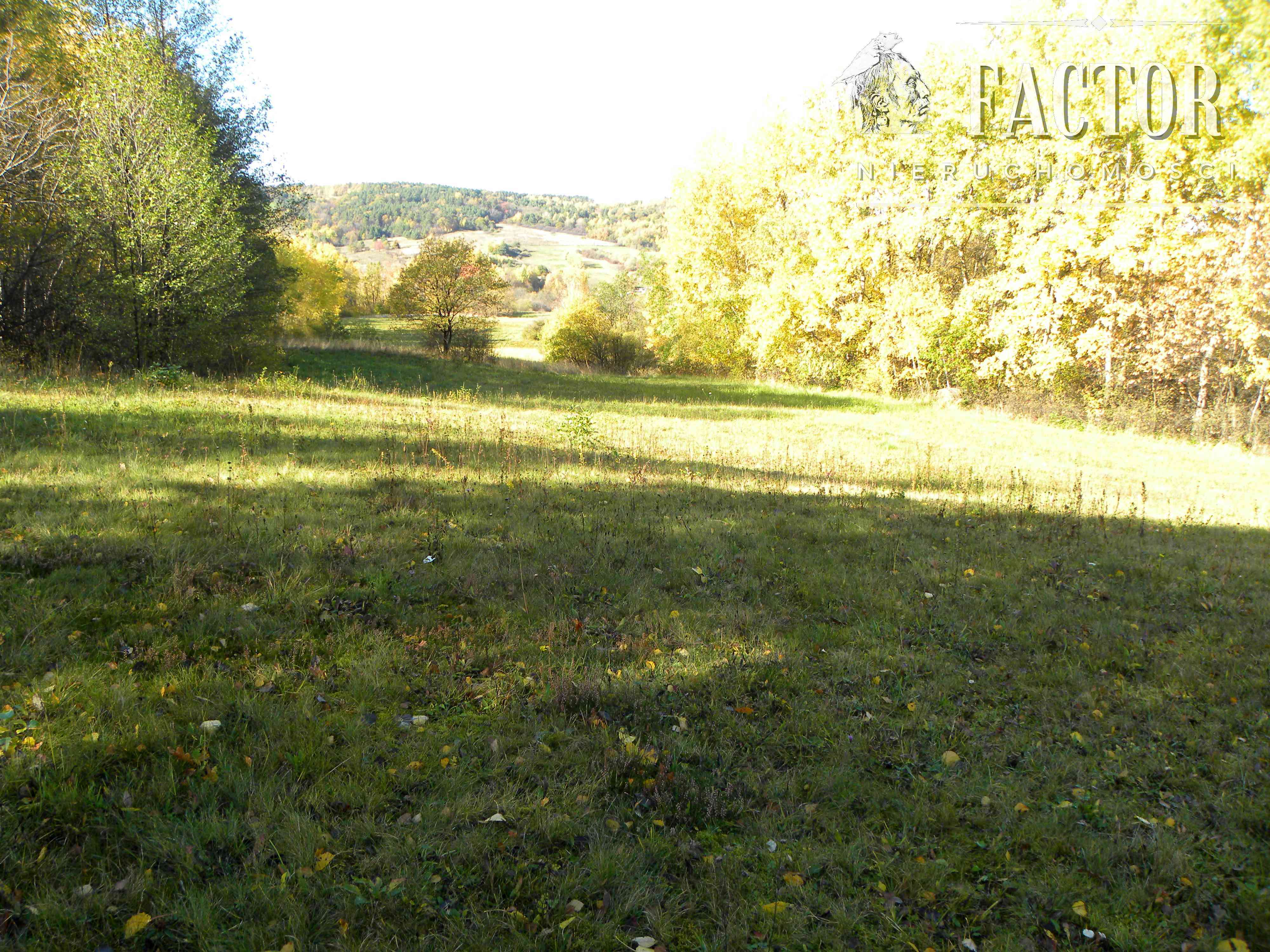 Rozdziele działka rolna 1,58 ha 1071S - zdjęcie 2