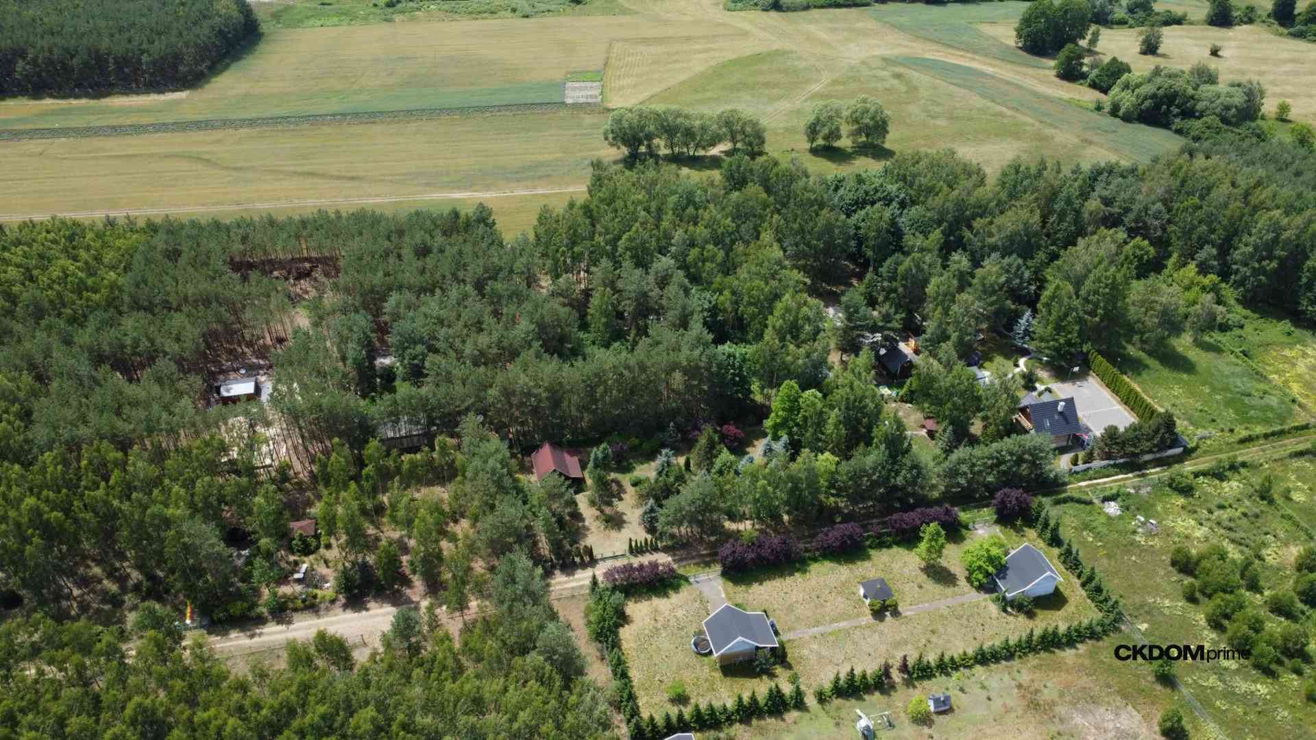 Działka z lasem  na wyłączność / Blisko aglomeracji - zdjęcie 5