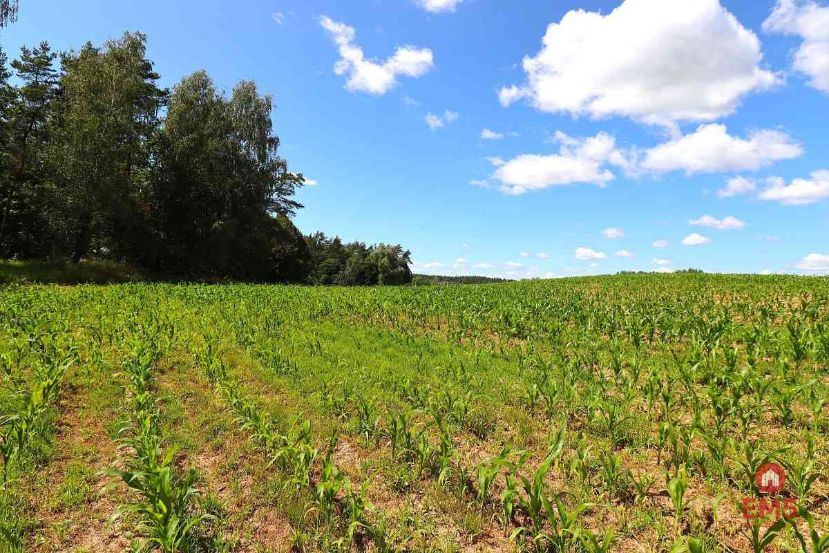 Działka budowlana na Mazurach Rożyńsk Wielki - zdjęcie 11