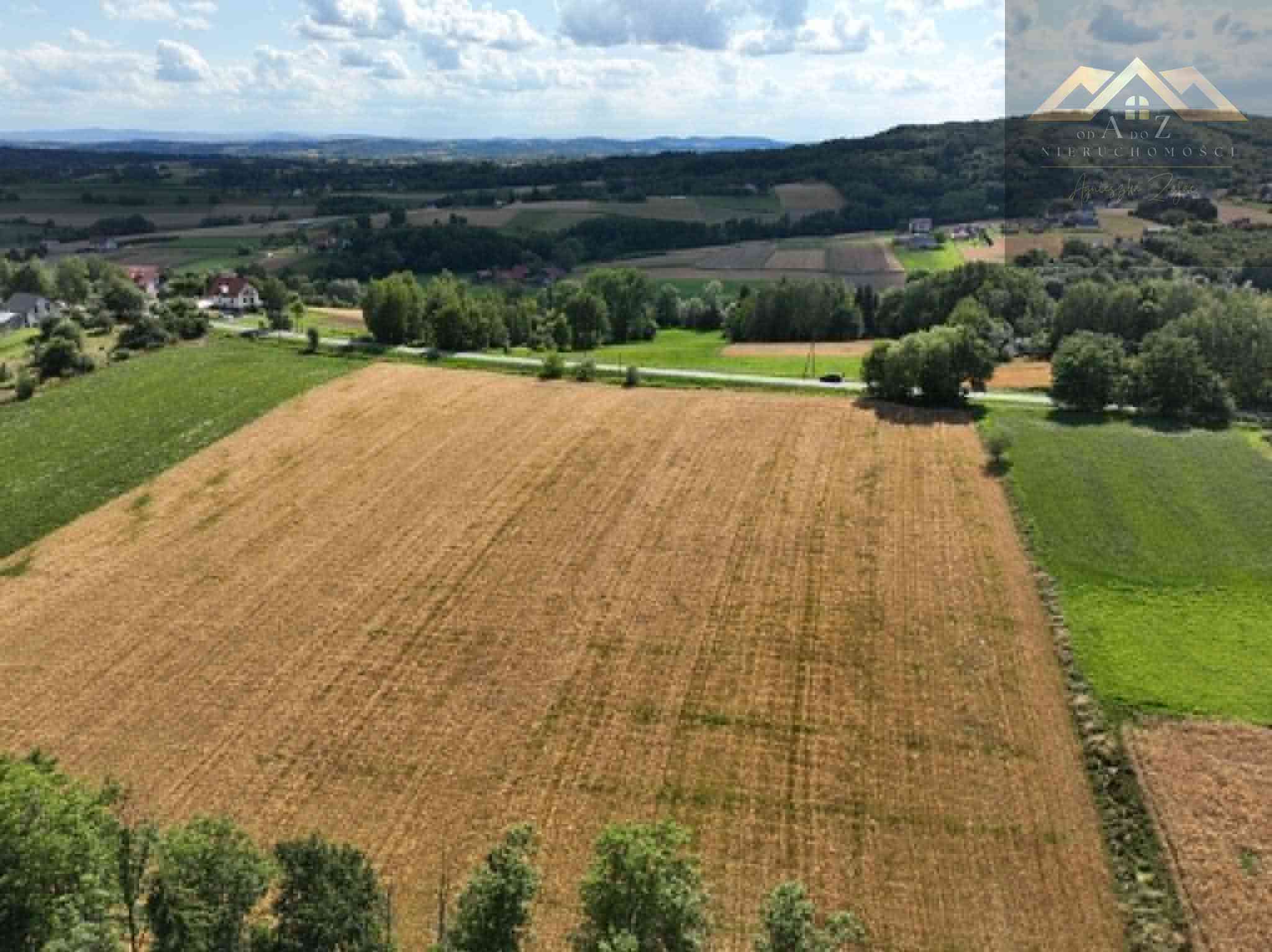 Budowlana 91 ar Lichwin gm. Pleśna, przy lesie - zdjęcie 8