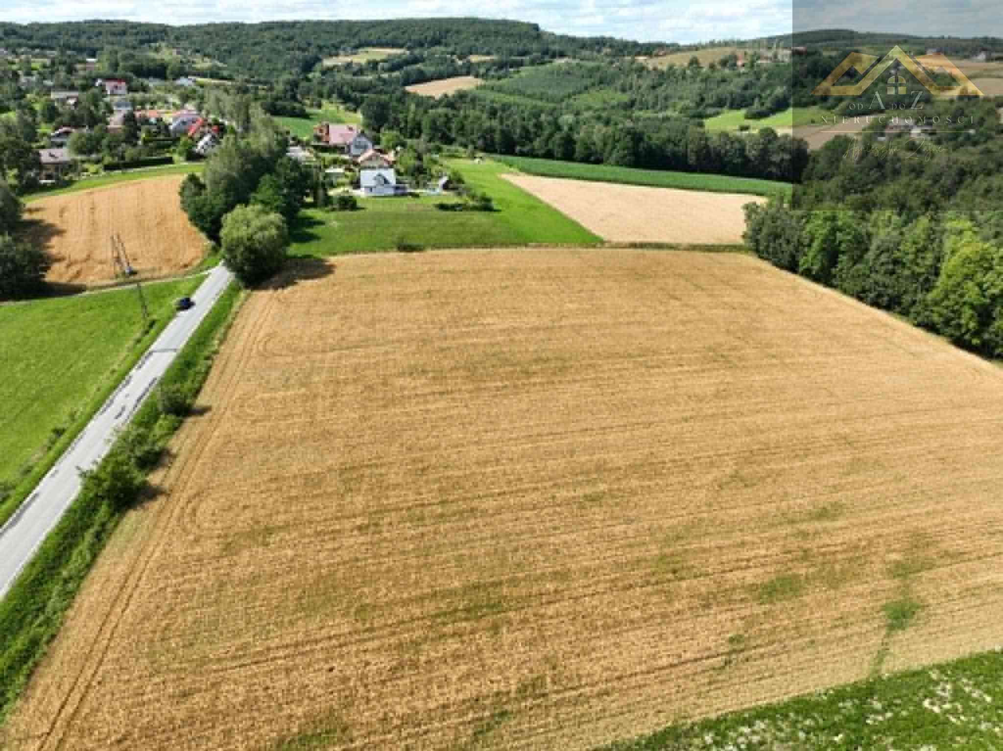 Budowlana 91 ar Lichwin gm. Pleśna, przy lesie - zdjęcie 12