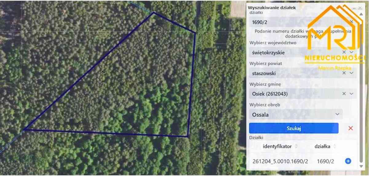 Duża działka leśna w gminie Osiek - zdjęcie 12