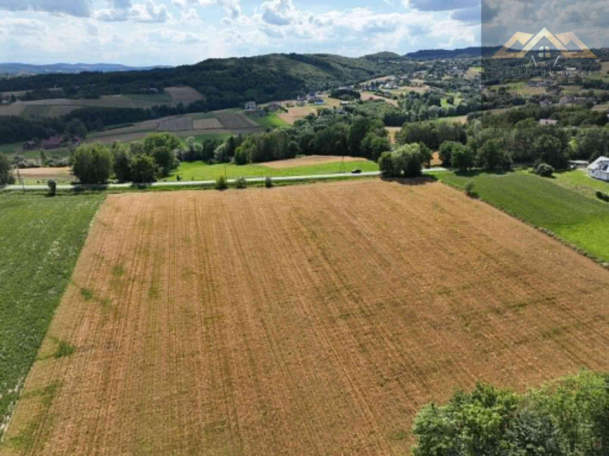 Budowlana 91 ar Lichwin gm. Pleśna, przy lesie - zdjęcie 13