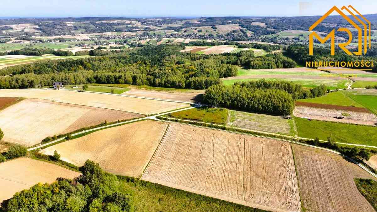 Działka WZ 12,55 ar – Brzeziny, gm. Wielopole Skrz - zdjęcie 4