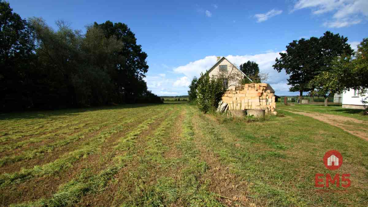 Budynek/hala na wynajem w pobliżu Jeżewa Starego - zdjęcie 9