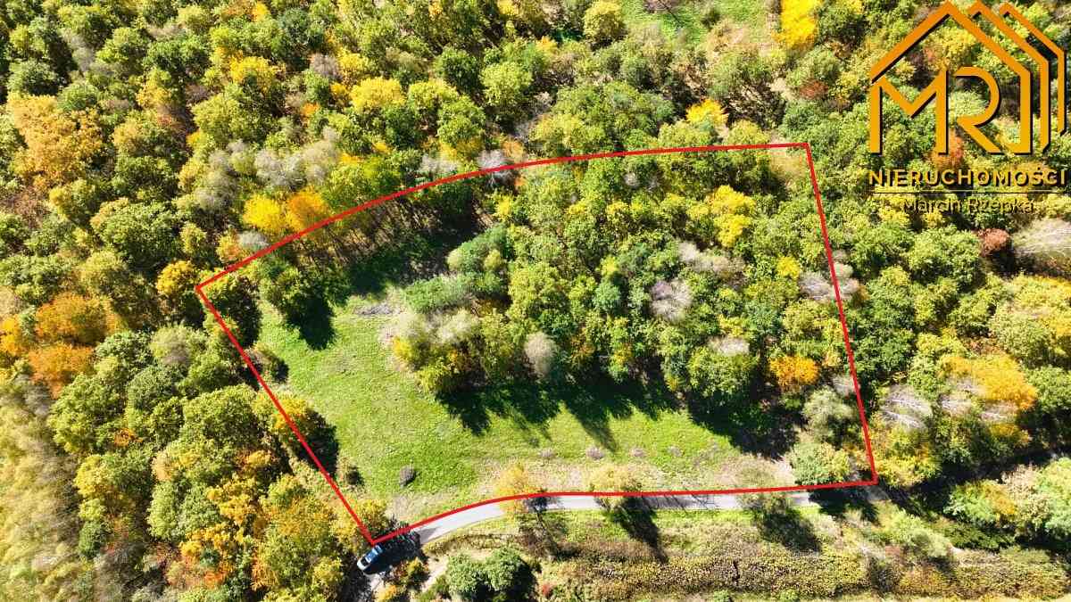 Widokowa działka rolna z panoramą na Dunajec - zdjęcie 2