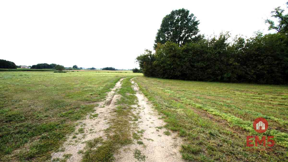 Budynek/hala na wynajem w pobliżu Jeżewa Starego - zdjęcie 8