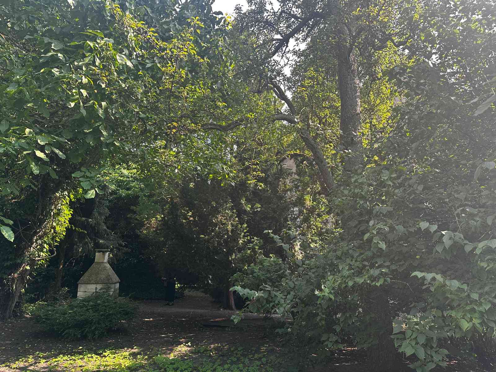 Stary dom – wyjątkowa nieruchomość w Bielkowie - zdjęcie 11
