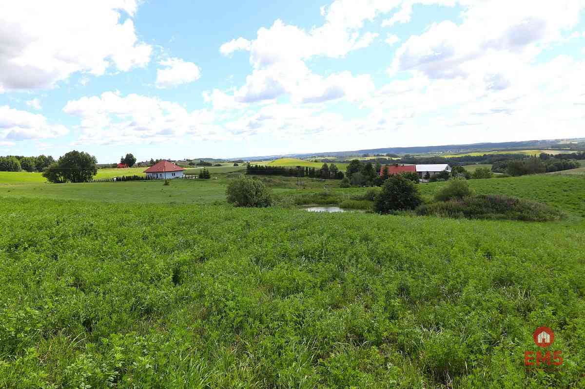 Działka rolno budowlana gmina Rutka-Tartak - zdjęcie 6