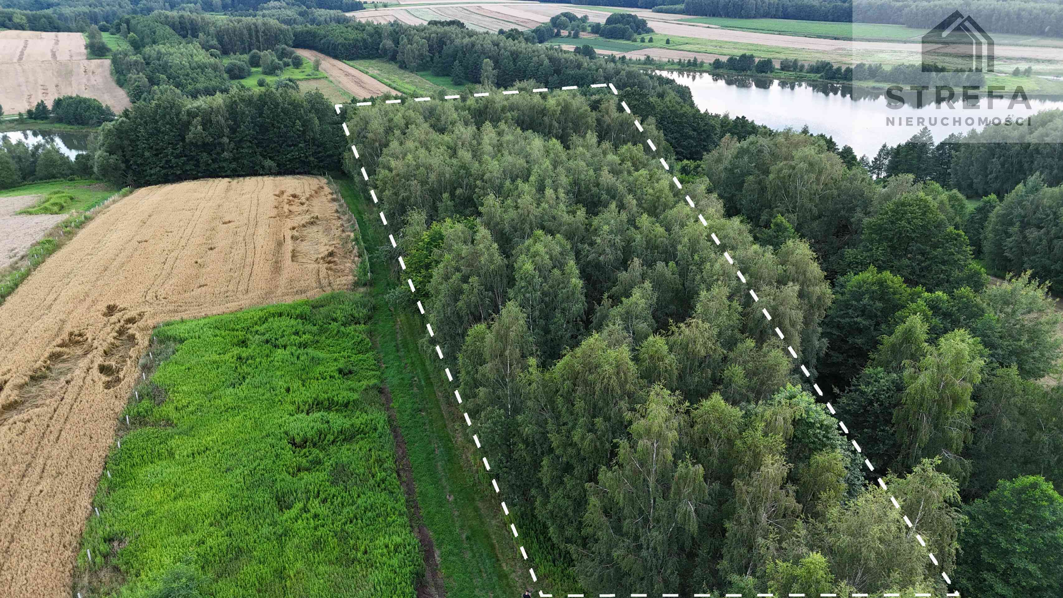 Działka 55,04 ara bezpośrednio przy Zalewie Skrzyszowskim – pod siedlisko lub biznes turystyczny