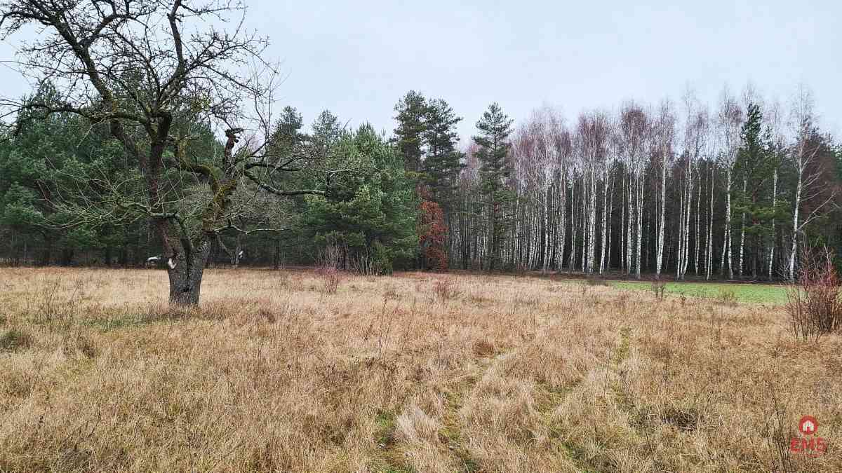 Działka 1900 m2. Pieńki - zdjęcie 4