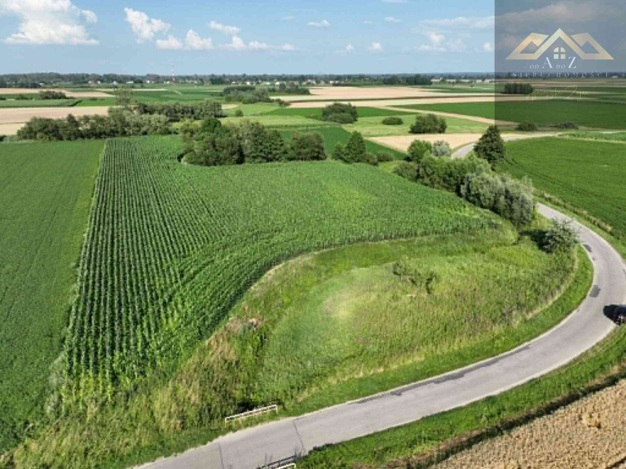 Działka rolna 80 arów w Miechowicach - zdjęcie 3