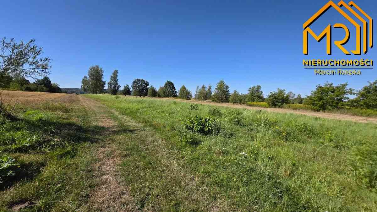 Działka usługowo-produkcyjna 3462 m² – przy granic - zdjęcie 10
