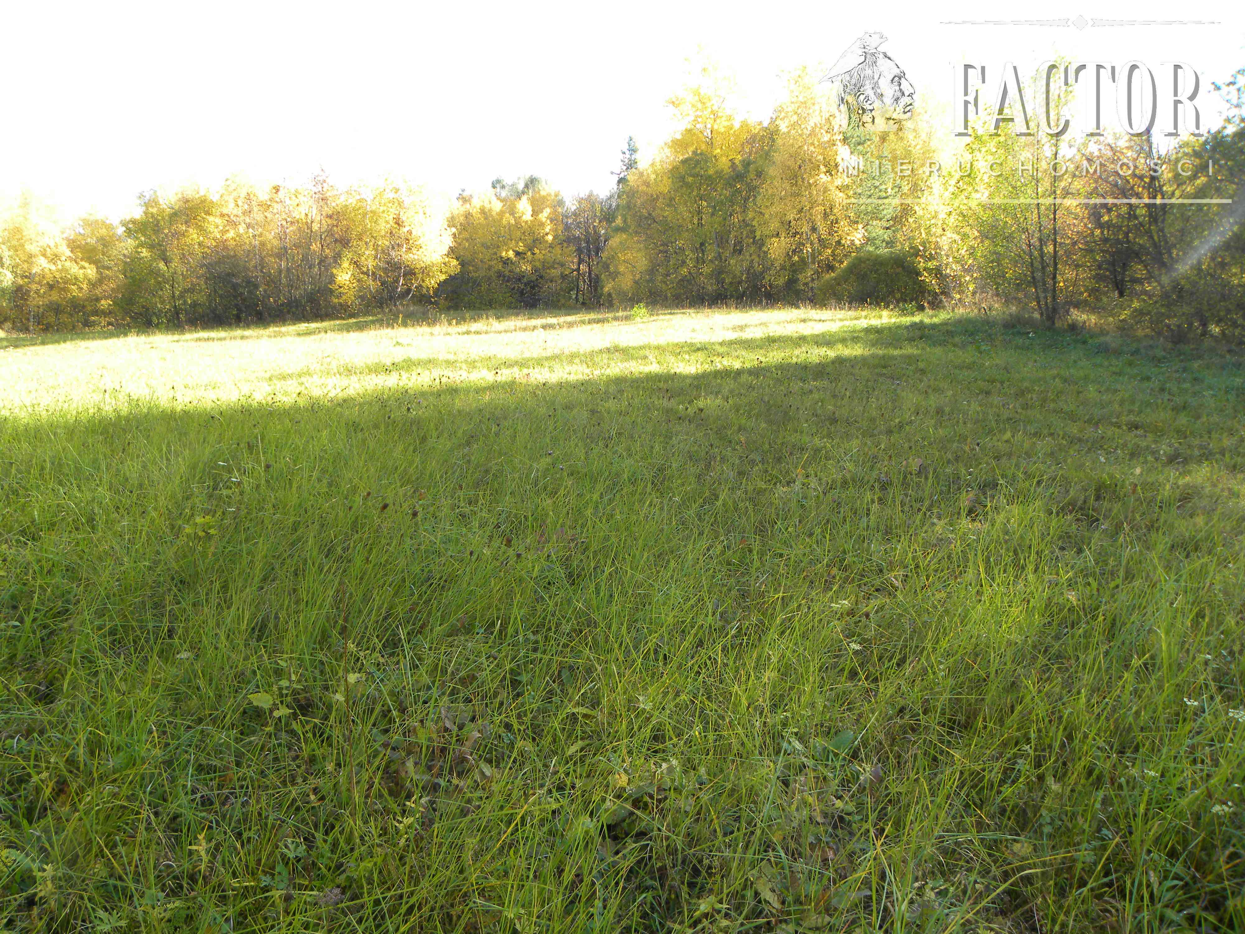 Rozdziele działka rolna 1,58 ha 1071S - zdjęcie 3