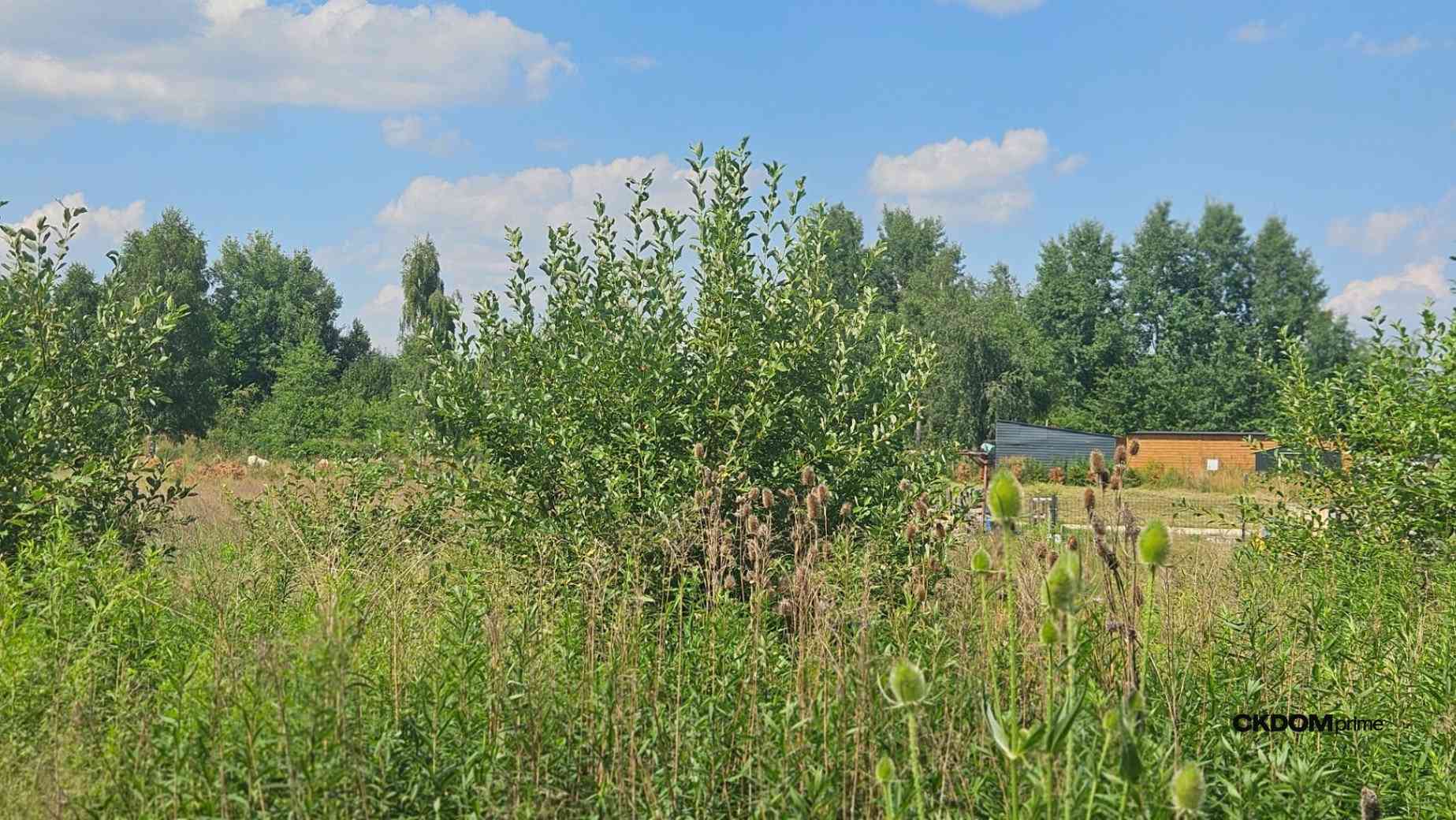 Atrakcyjna działka Wola Kopcowa - zdjęcie 2
