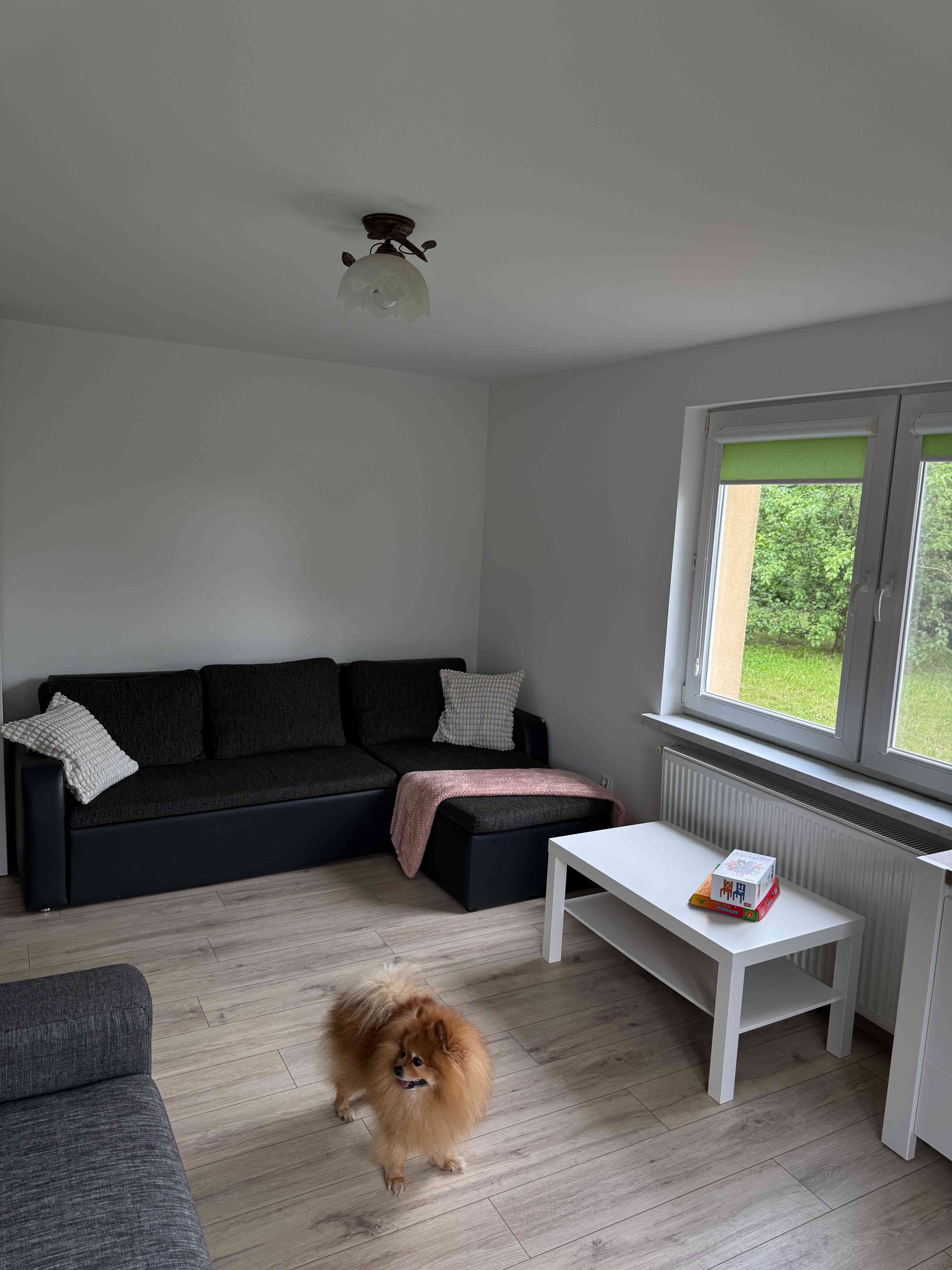 ,,Siedlisko Pod Lipą” Wola Wereszczyńska - zdjęcie 8
