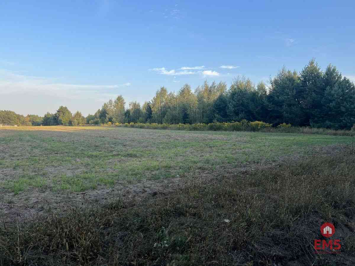 Działka rolna ok. 2 ha w gminie Czyże. - zdjęcie 3