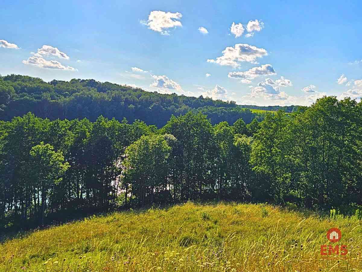 Działka budowlana pod usługi turystyczne - Mazury - zdjęcie 5