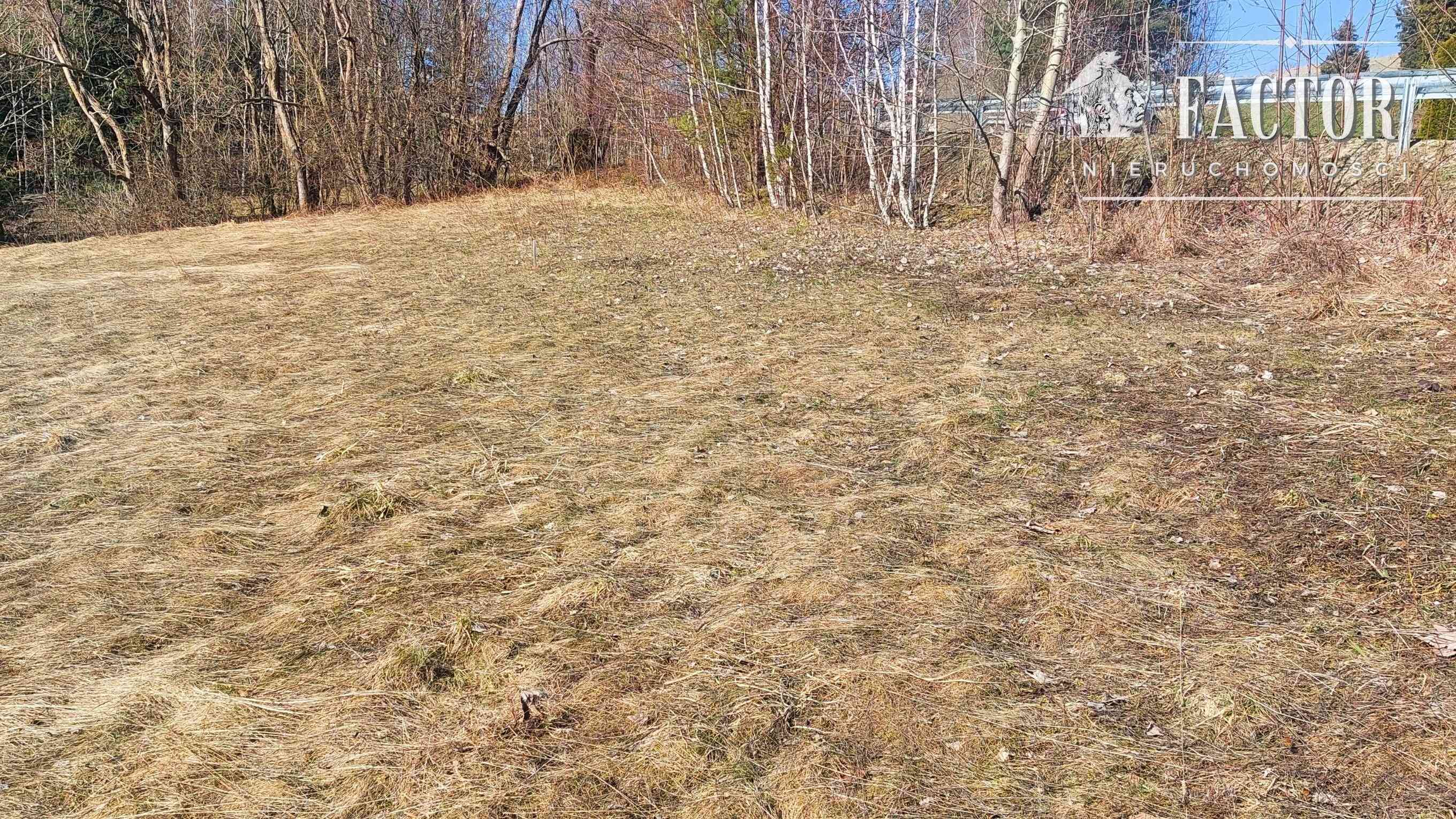 Działka budowlana 1279 m² w Bieśniku, gm. Łużna - zdjęcie 6
