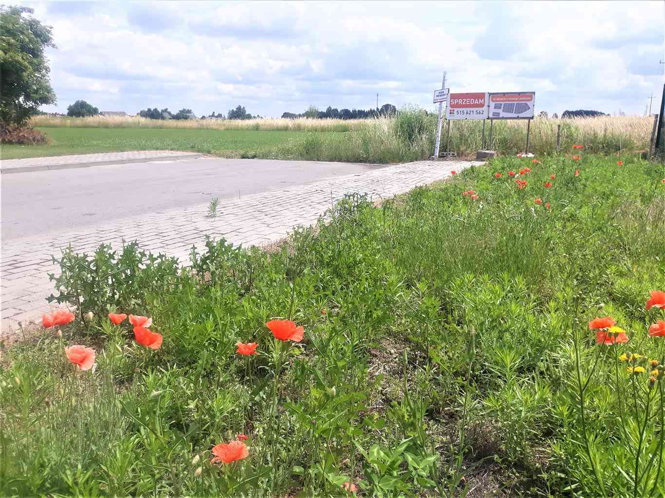 Działki budowlane w Przyrowie - zdjęcie 3