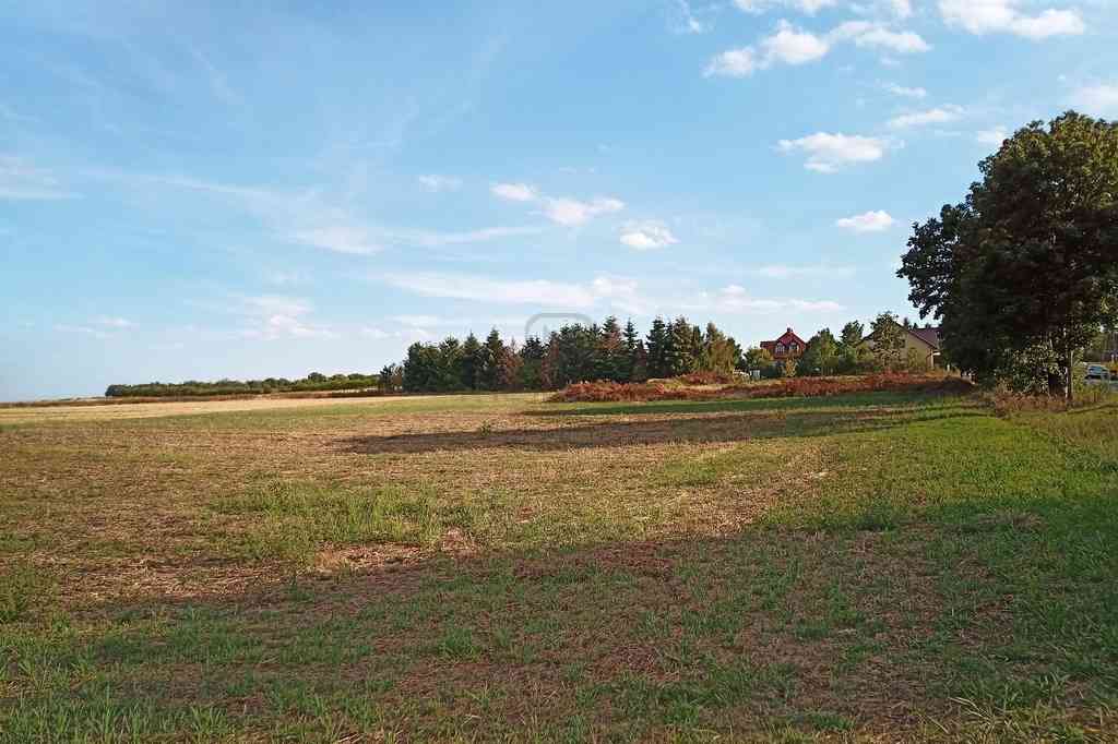 Działki budowlane - Janczewo Kolonia Pod Lasem - zdjęcie 13