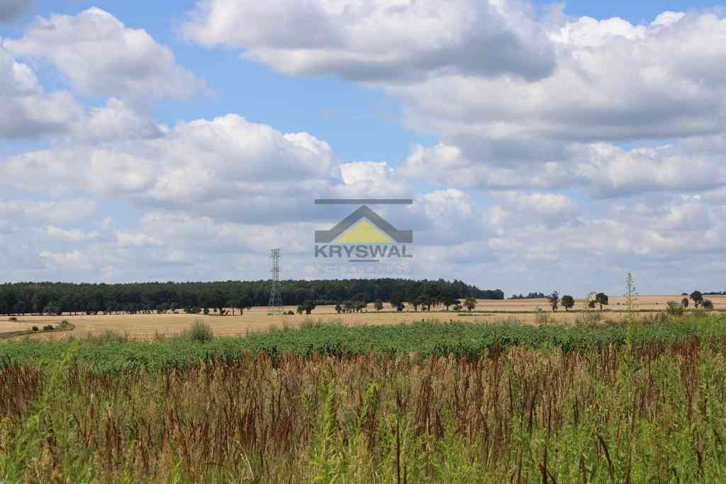 Działka 35 arów, wydane WZ, Racław - zdjęcie 5