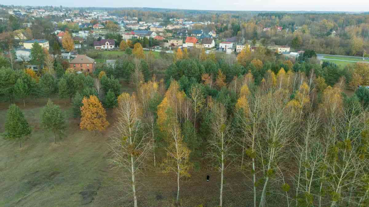 Działka budowlana Koszęcin ul. Słowików 1099m2 - zdjęcie 24