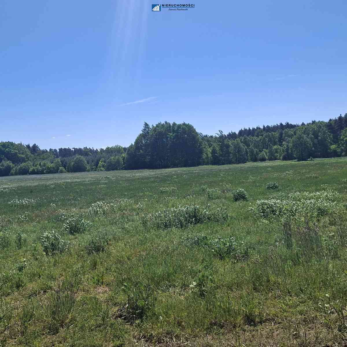 Działka 1,99ha | 84ar MPZP | Pogorzeliska - zdjęcie 5