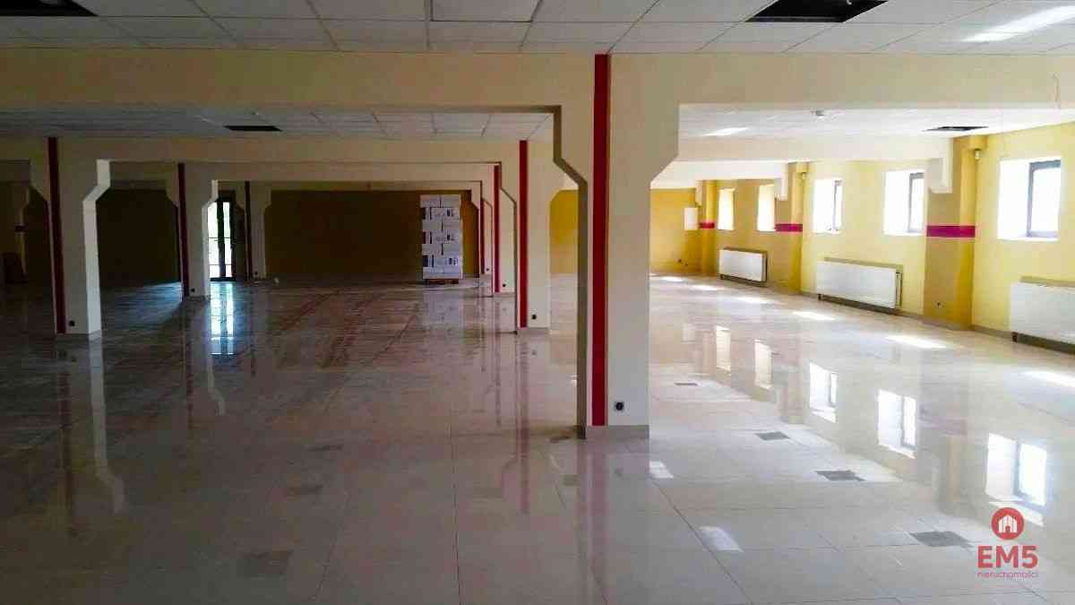 Lokal użytkowy 580 m2 - zdjęcie 3