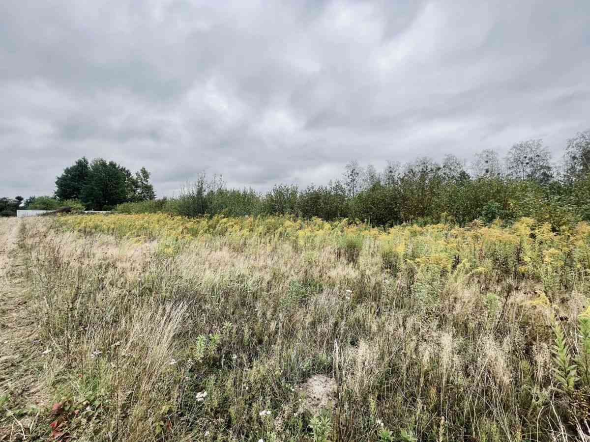 Działki budowlane 1000 m² | WZ + projekt domu - zdjęcie 13