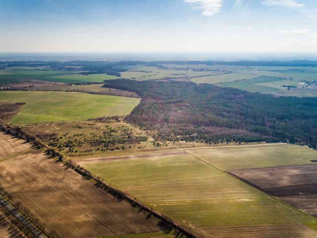 Działki na granicy Baczyna/Marwice miejscowy plan! - zdjęcie 7