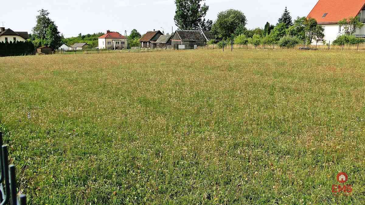 Działka rolno-budowlana 4000 m2, Letniki - zdjęcie 3