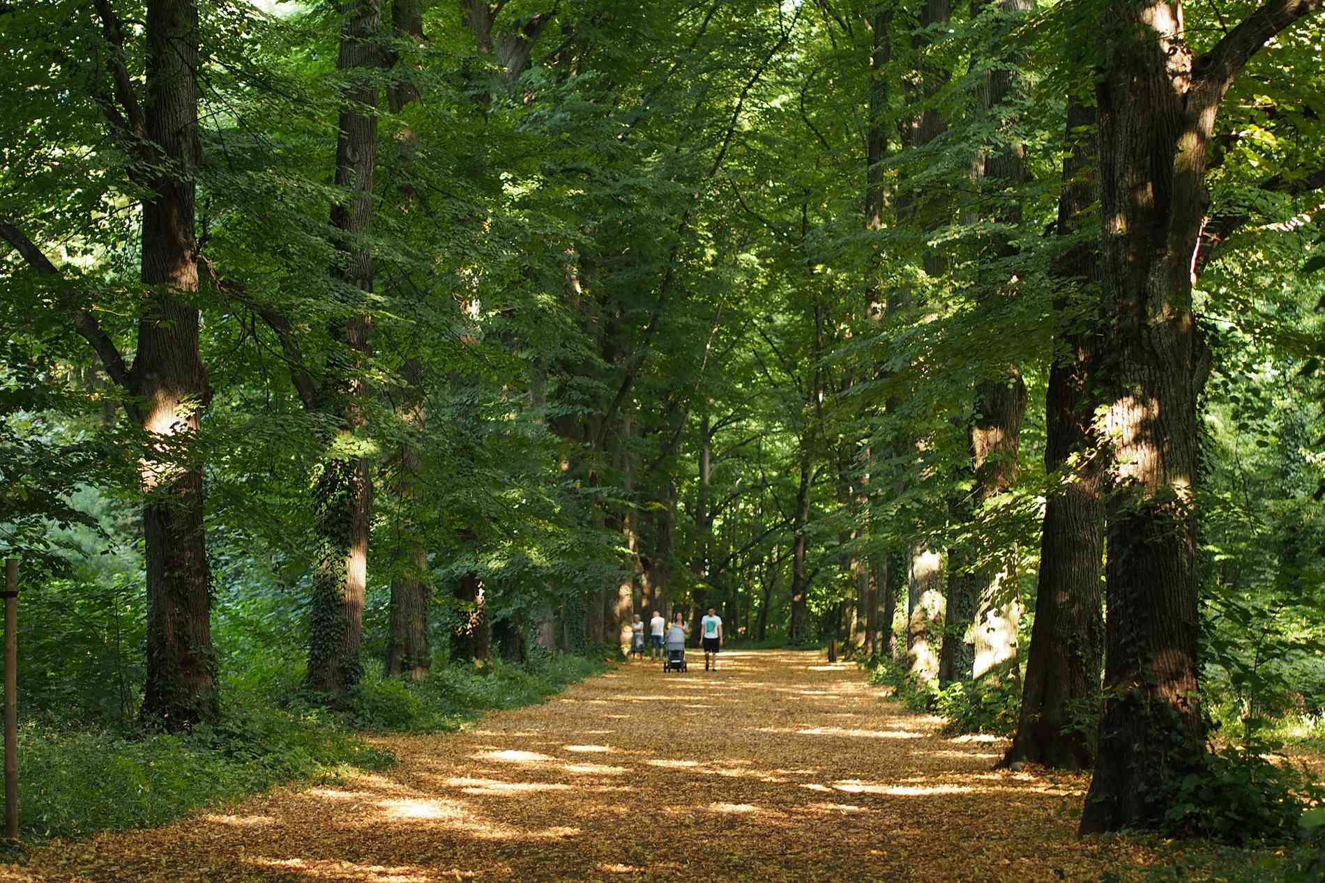 Mieszkanie na sprzedaż Wrocław Grabiszyn 3 pokoje 75 m²