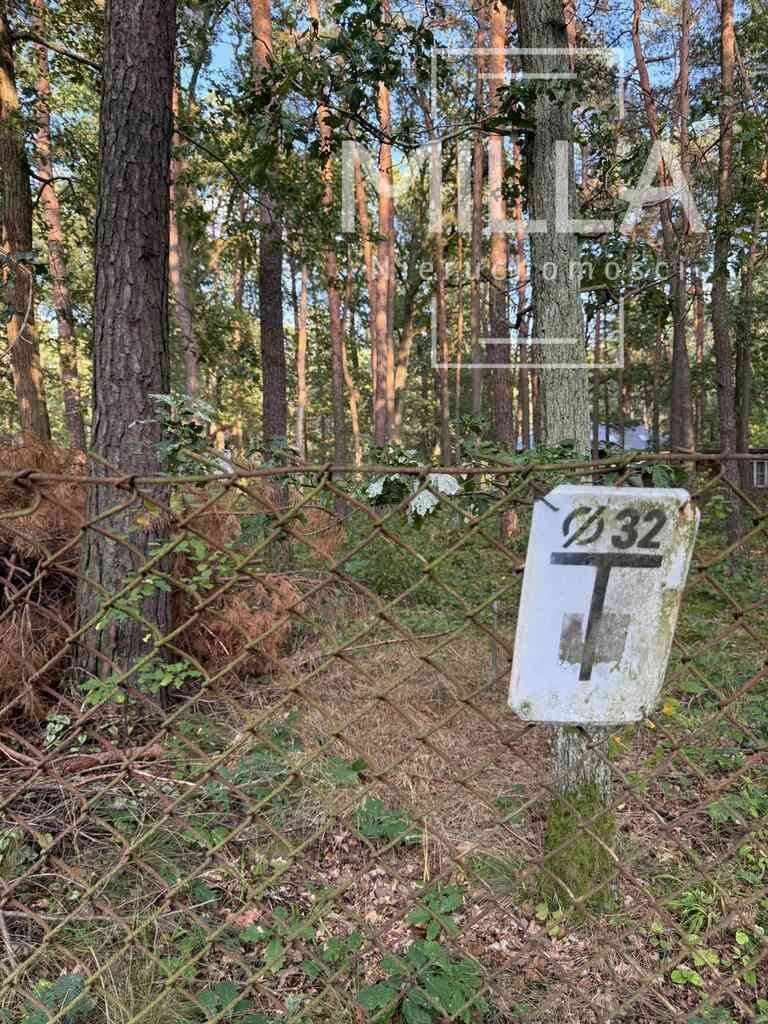 Sokolniki Las-cisza,zieleń,gotowa działka pod dom. - zdjęcie 2