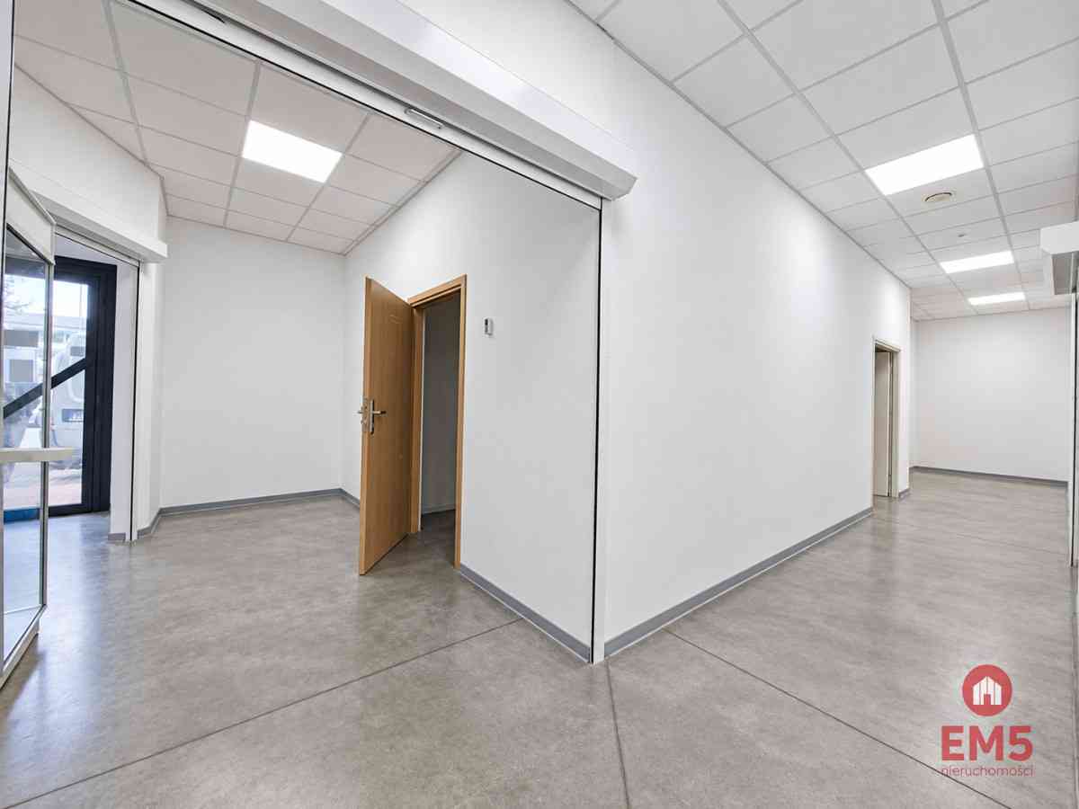 Lokal użytkowy 262 m2 - zdjęcie 6