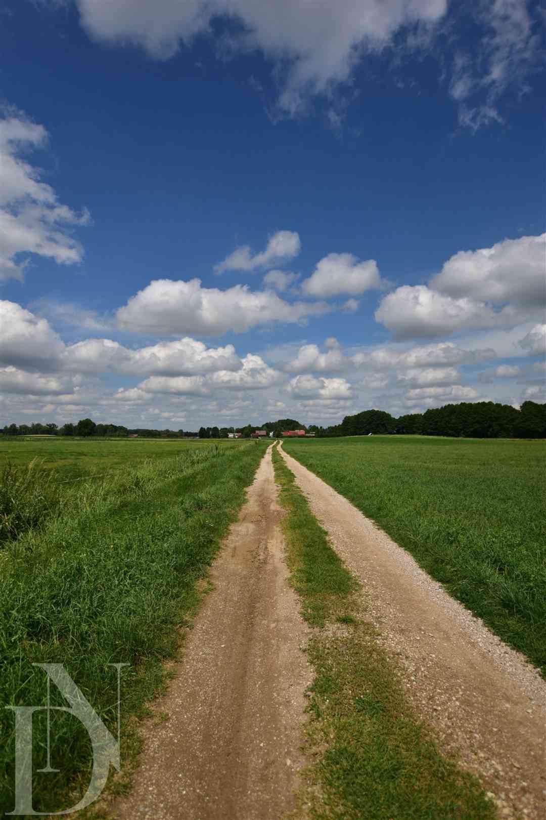 Działki 11095 m² koło Jeziora Dręstwo NOWA CENA!!! - zdjęcie 10