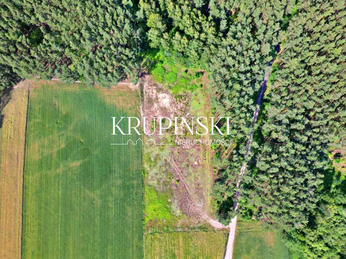 Dobrzejewice działka pod lasem! - zdjęcie 16