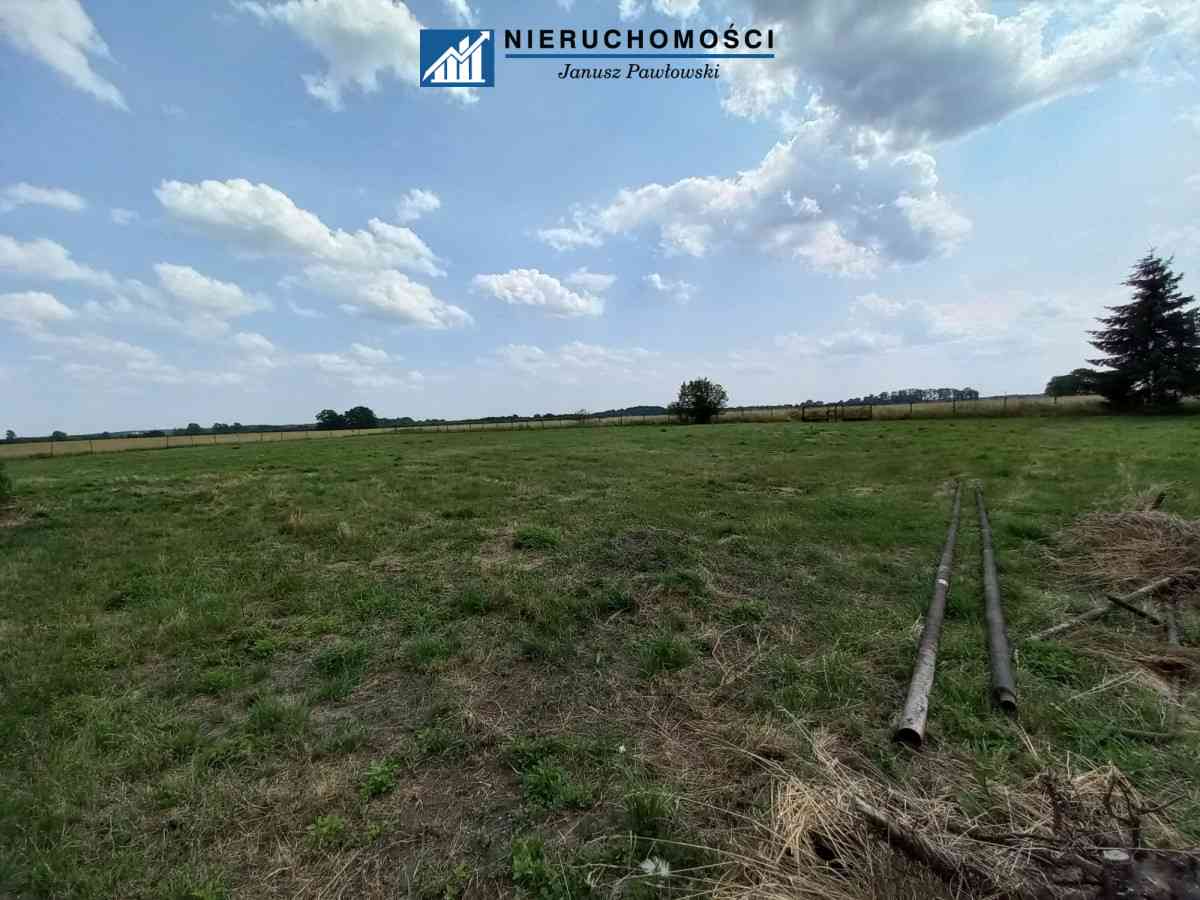 Dom wolnostojący 250m2 | Działka 34ar | Budynki - zdjęcie 28