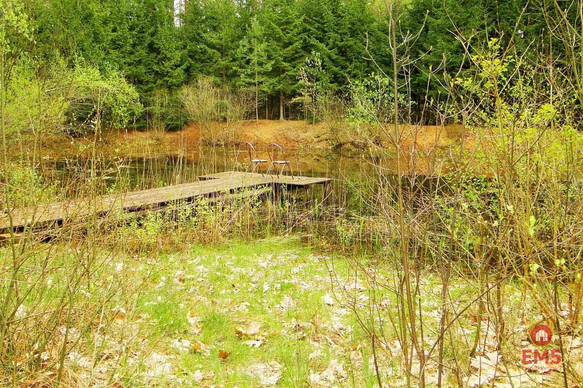 Działka rekreacyjno-budowlana 0,8 ha, pod miastem - zdjęcie 2