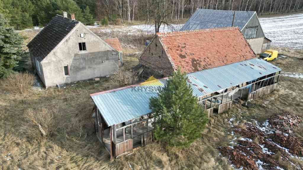 Ponad pół hektara z zabudowaniami, woj. lubuskie - zdjęcie 19