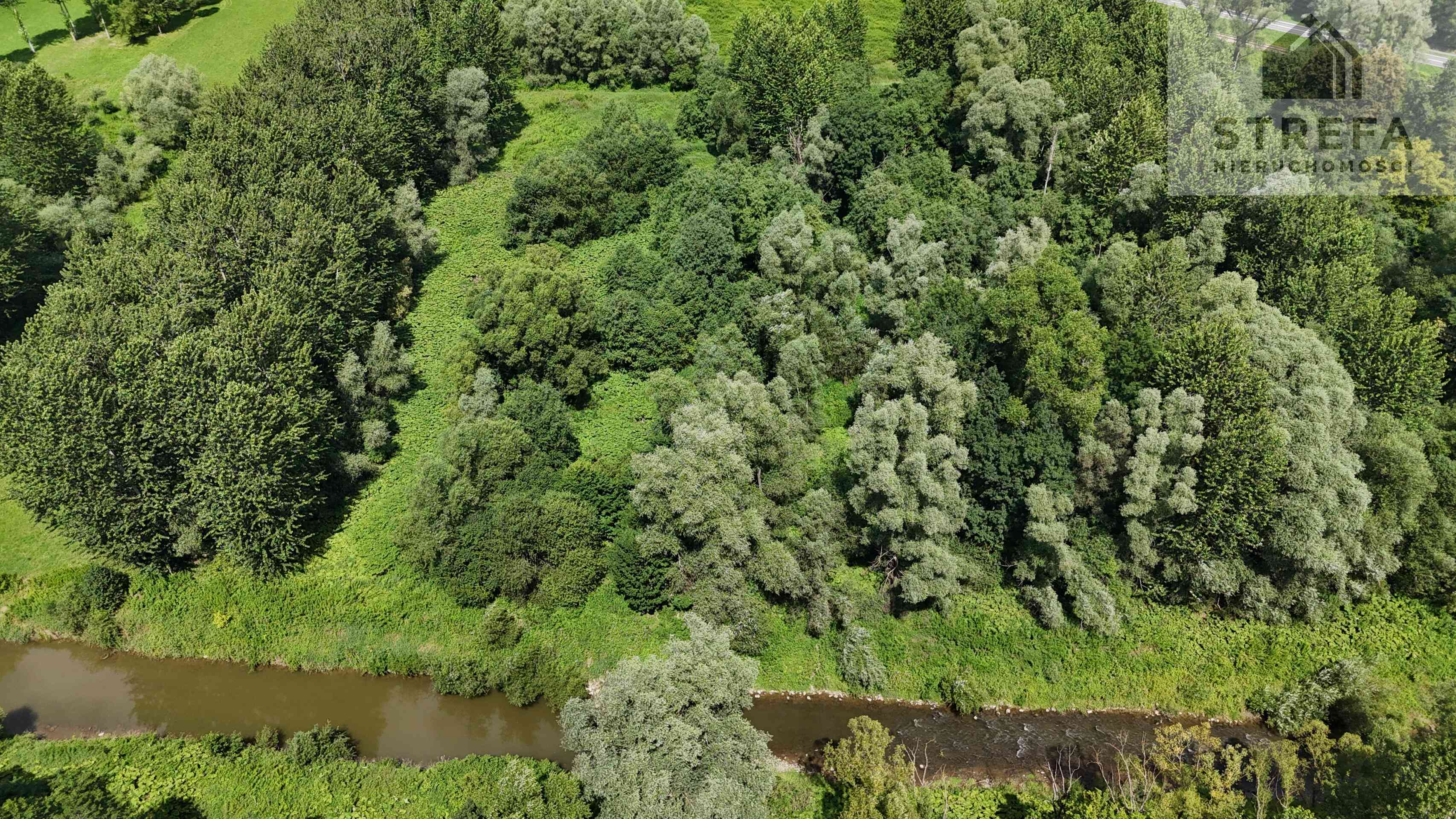 Działka rolna 1,64 ha w Chojniku nad rzeką Biała – wyjątkowa lokalizacja - zdjęcie 3