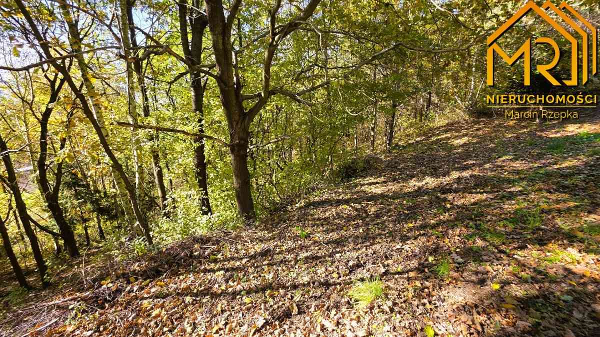 Widokowa działka rolna z panoramą na Dunajec - zdjęcie 18