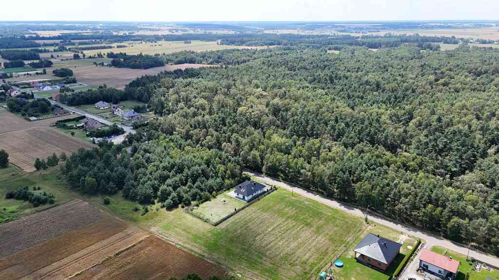 Krzepice, Dankowice-Piaski | Działka pod budowę - zdjęcie 2