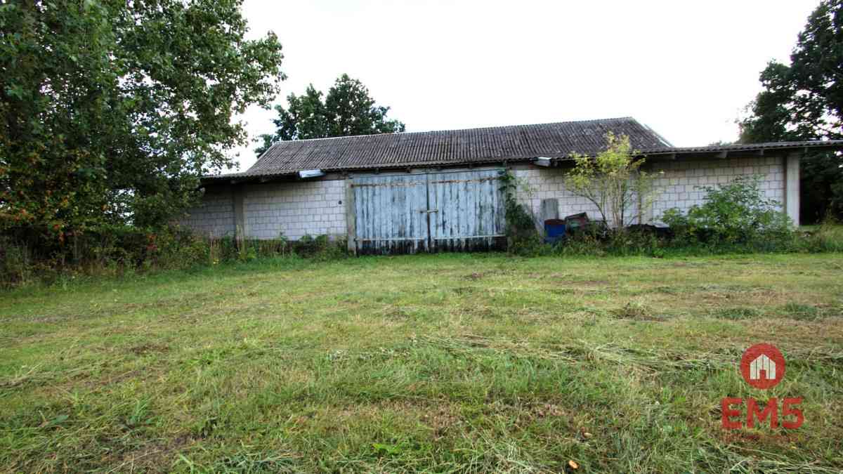 Budynek/hala na wynajem w pobliżu Jeżewa Starego - zdjęcie 5
