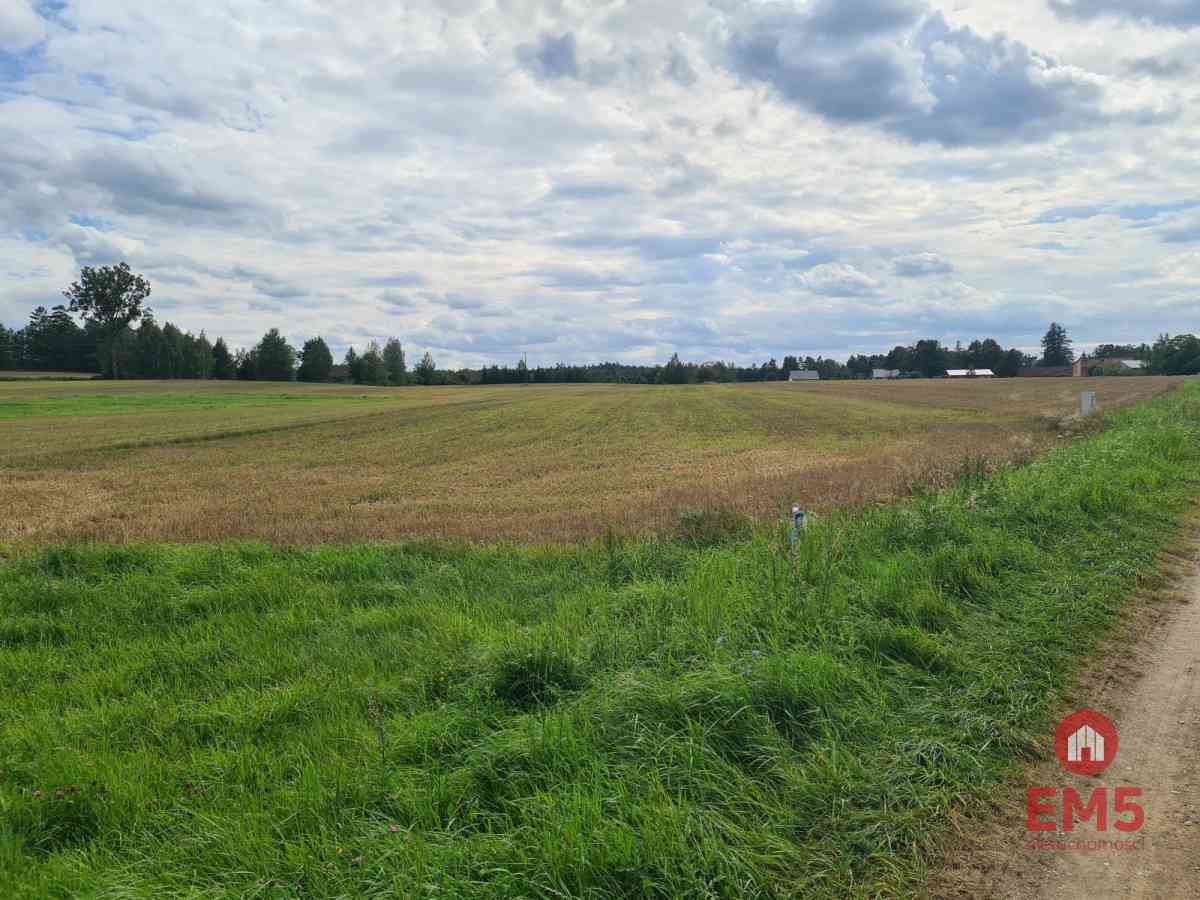 Działka w otulinie Puszczy Knyszyńskiej z WZ - zdjęcie 2