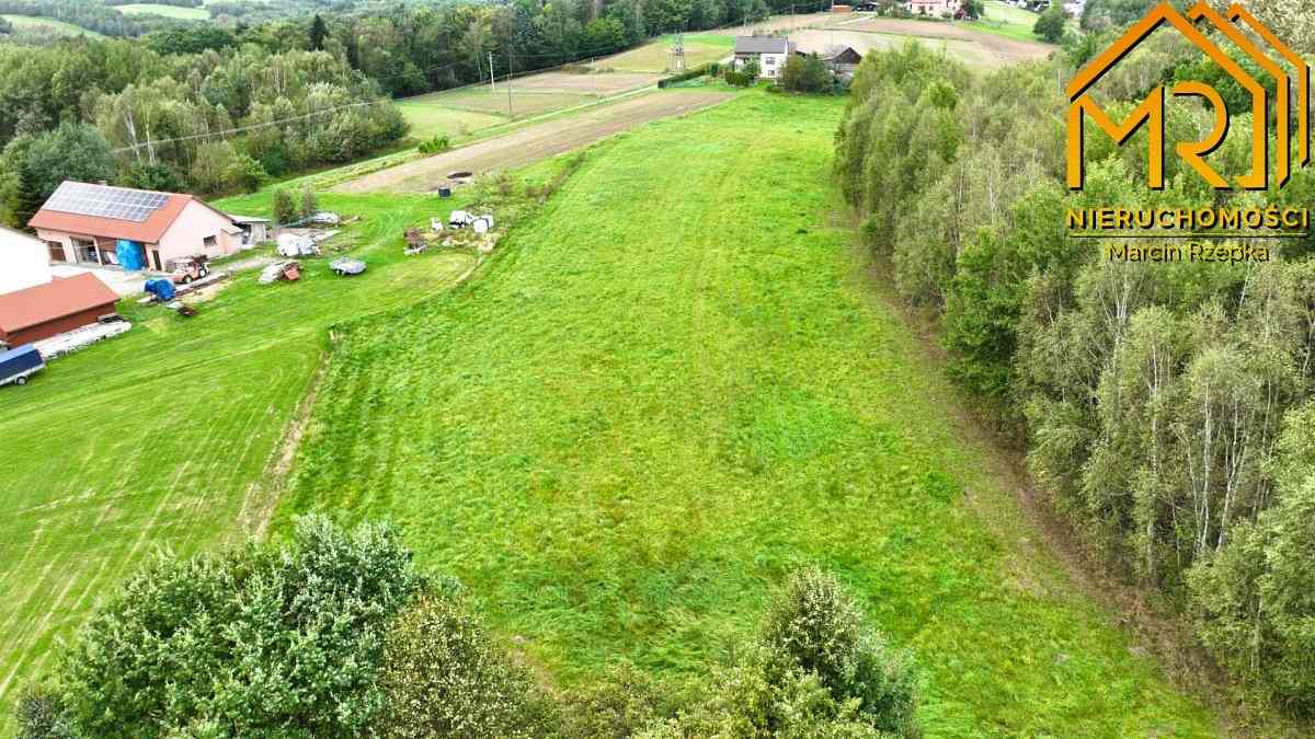 1 ha działki rolnej w gminie Szerzyny  - zdjęcie 3