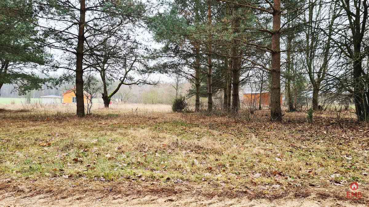 Działka 1743 m2, Pieńki - zdjęcie 12