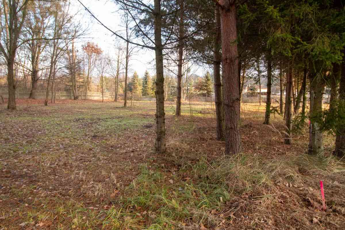 Działka budowlana Koszęcin 1024m2 ul. Słowików - zdjęcie 8